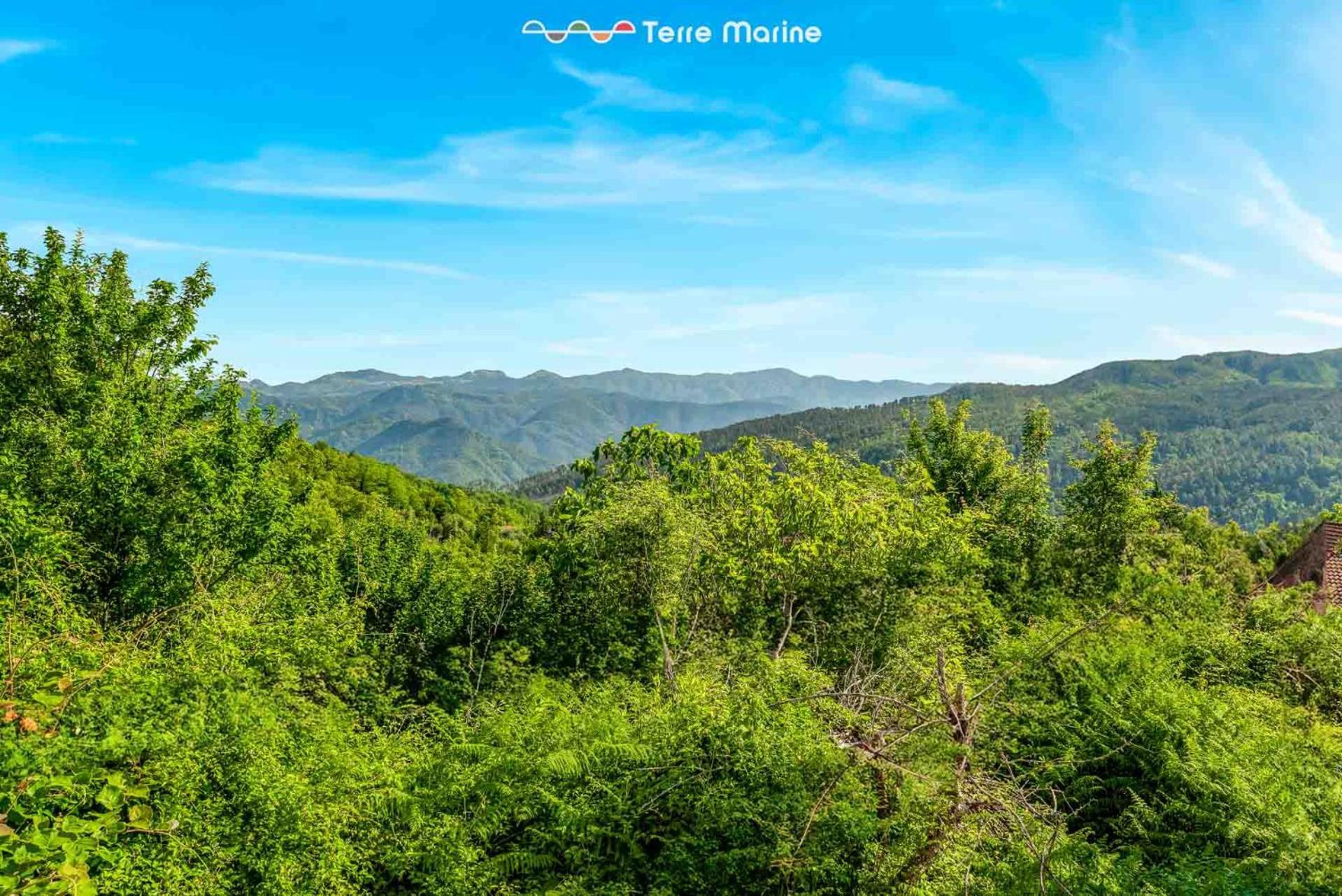 Villa Pina ريكو ديل غولفو دي سبيزيا المظهر الخارجي الصورة